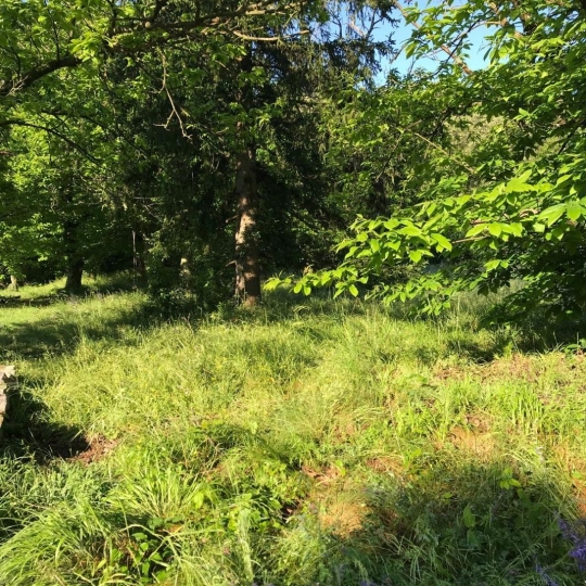 Annonces ALES : Ground | SAINT-FLORENT-SUR-AUZONNET (30960) | m2 | 47 000 € 