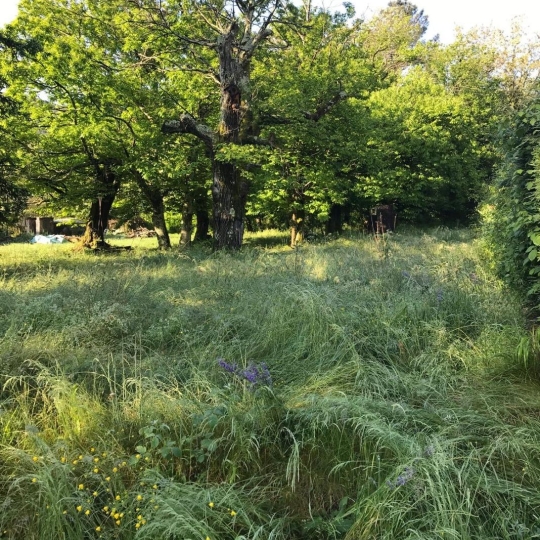  Annonces ALES : Ground | SAINT-FLORENT-SUR-AUZONNET (30960) | 0 m2 | 47 000 &euro; 