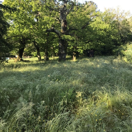  Annonces ALES : Ground | SAINT-FLORENT-SUR-AUZONNET (30960) | 0 m2 | 47 000 &euro; 