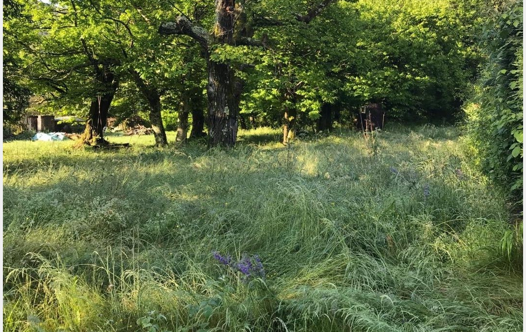 Annonces ALES : Ground | SAINT-FLORENT-SUR-AUZONNET (30960) | 0 m2 | 47 000 &euro; 