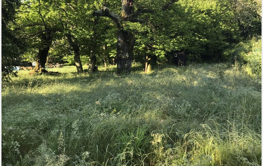 Annonces ALES : Ground | SAINT-FLORENT-SUR-AUZONNET (30960) | 0 m2 | 47 000 &euro; 