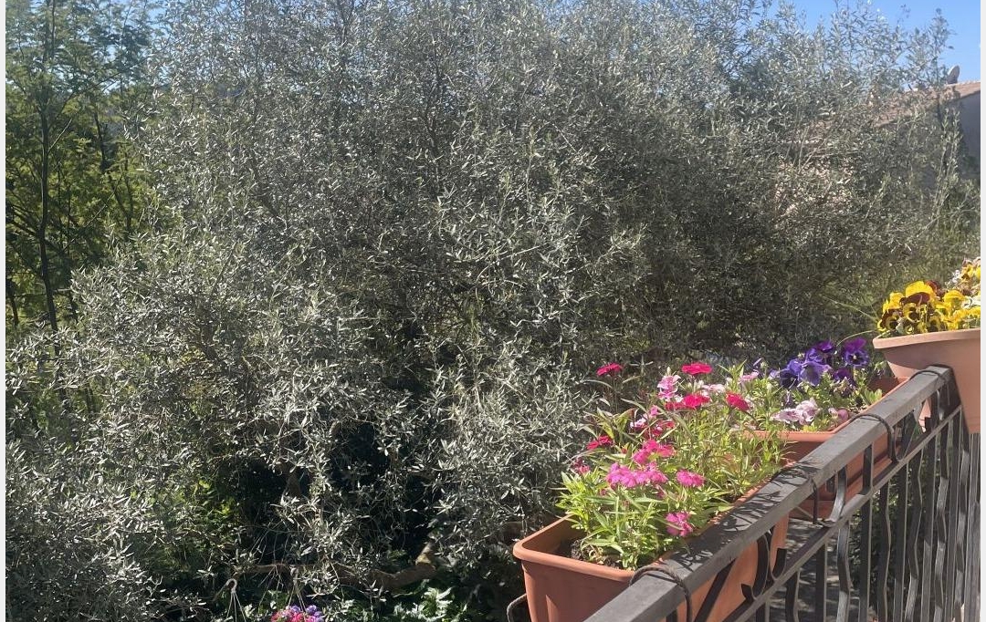 Annonces ALES : House | LES MAGES (30960) | 100 m2 | 183 000 &euro; 